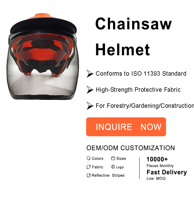 helmet 2.jpg